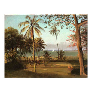 Foto Cena da Flórida, pintura de arte fina,