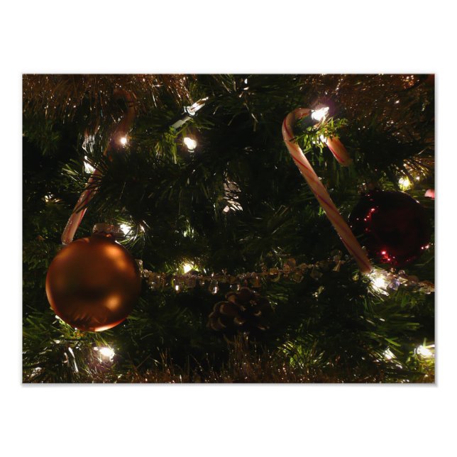 Foto Cena de Férias da Árvore de Natal III (Frente)