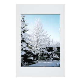 Foto cena de inverno