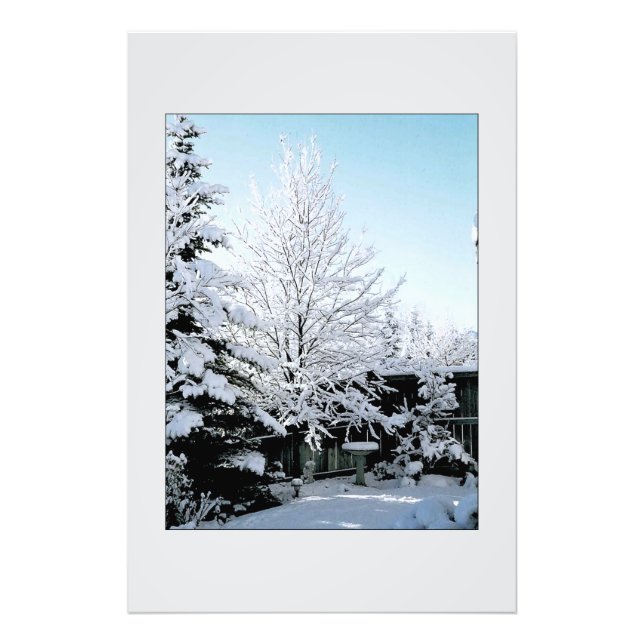 Foto cena de inverno (Frente)