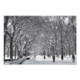 Foto Cena do inverno da alameda do Central Park