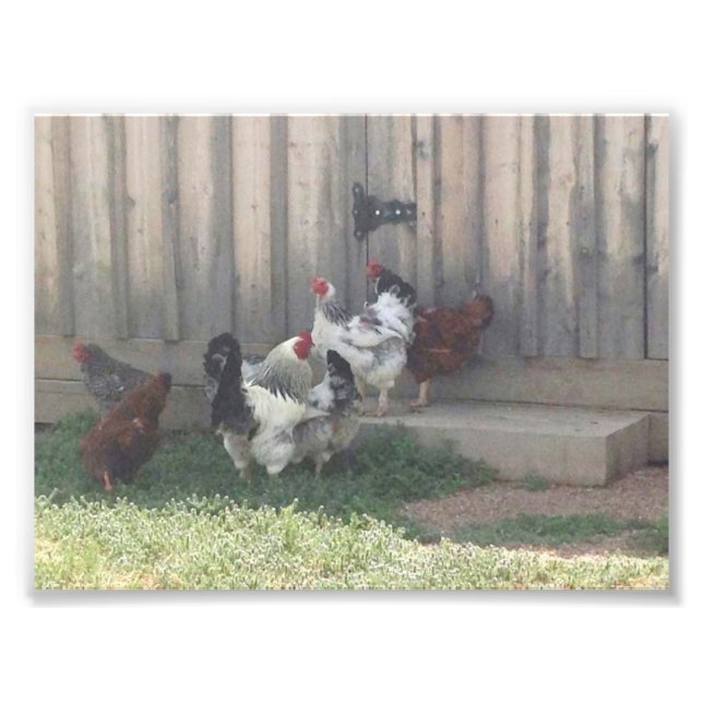 Foto Cena do País (Frente)