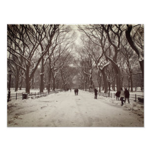 Foto Central Park