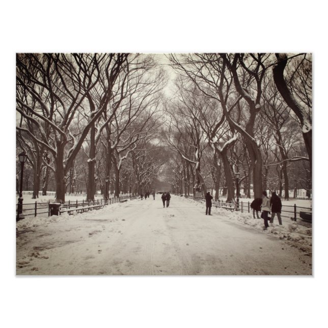 Foto Central Park (Frente)