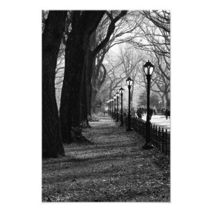Foto Central Park na Nova Iorque