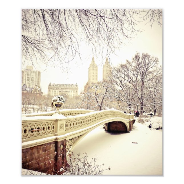 Foto Central Park Snow - Winter New York (Frente)