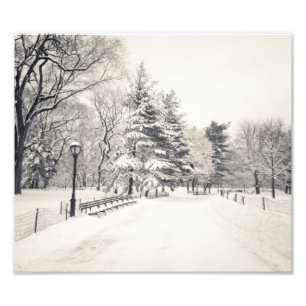 Foto Central Park Winter Path - Nova Iorque