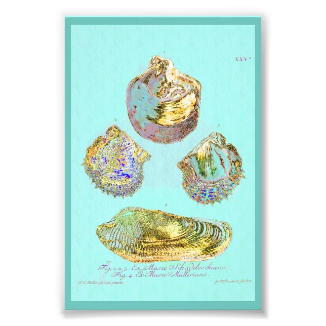 Foto Cera de água salgada em Robins Azul (Frente)