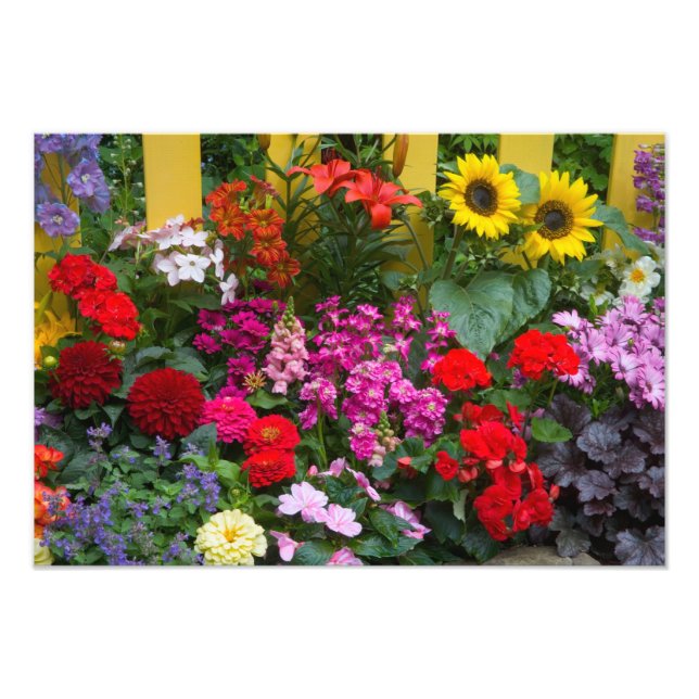 Foto Cerca de estacas amarelas com jardim de flores em (Frente)