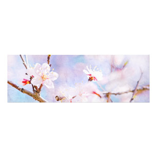 Foto Cerejeira Japonesa - Sakura em Flor