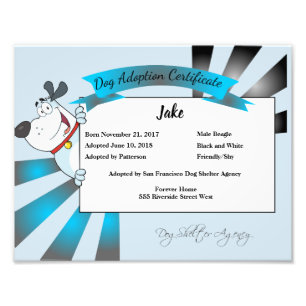 Foto Certificado de adoção de cães