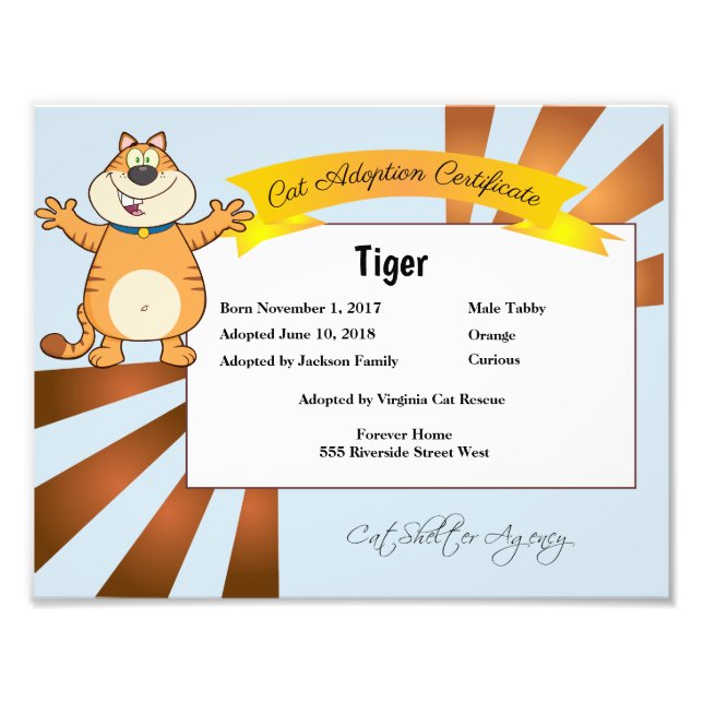 Foto Certificado de Adoção de Cat (Frente)
