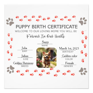 Foto Certificado de Nascimento de Puppy Personalizado