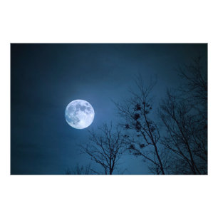 Foto Céu Noturno Assustador com árvores áridas e lua ch