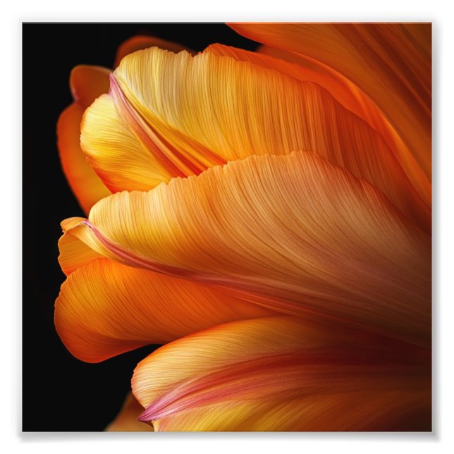 Foto Chama de Graça - Tulpa de Ouro no Bloom (Frente)
