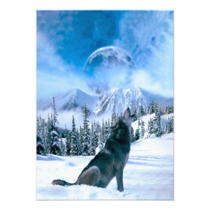 Foto Chamada de Lobo