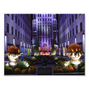 Foto Channel Gardens Quinta Avenue Nova Iorque NYC