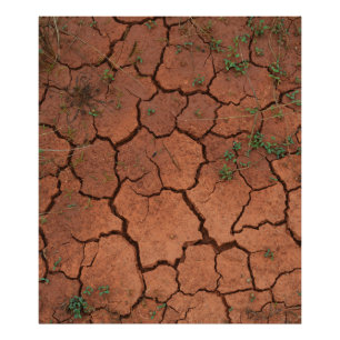 Foto chão seco e rachado