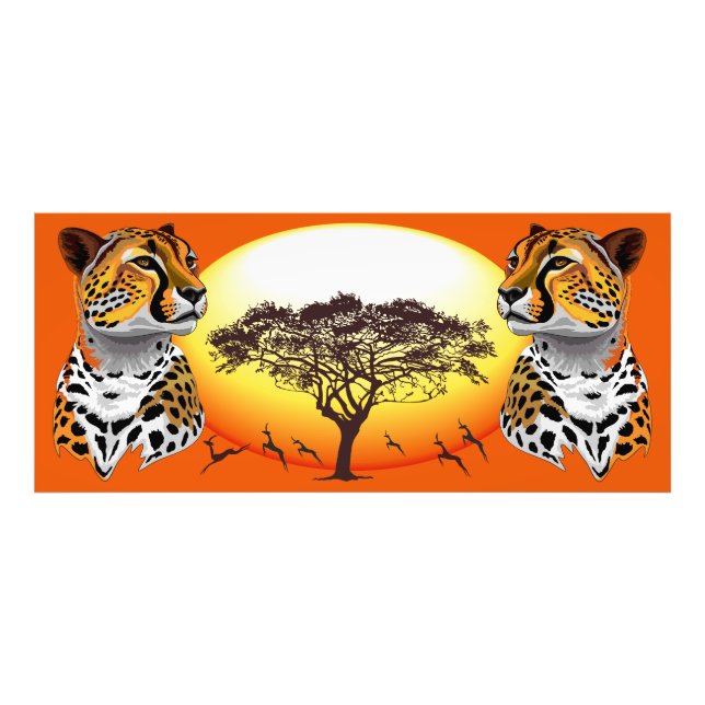 Foto Cheetah African Feline Wild Animal (Frente)