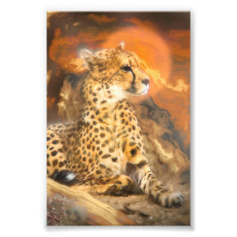 FOTO CHEETAH STANDOWN