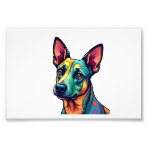 Foto Chihuahua  Pintura Abstrata  Cor  Cachorro Fofo (3