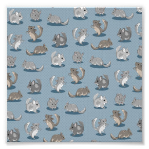 Foto Chinchilla Pattern