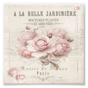 Foto chique,rústico,vintage,floral,colagem,país,