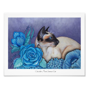 Foto Chocolate Point Siamese Photo Impressão