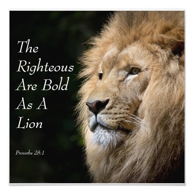 Foto Christian Art - Lion - Proverbs 28:1 (Frente)