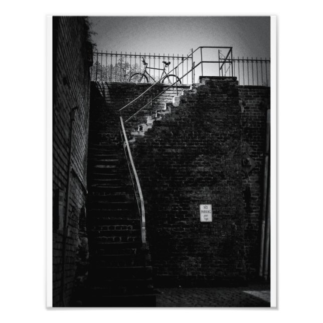 Foto Ciclo Savannah (Frente)