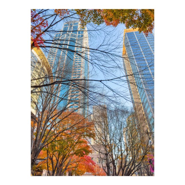Foto Cidade no outono (Frente)