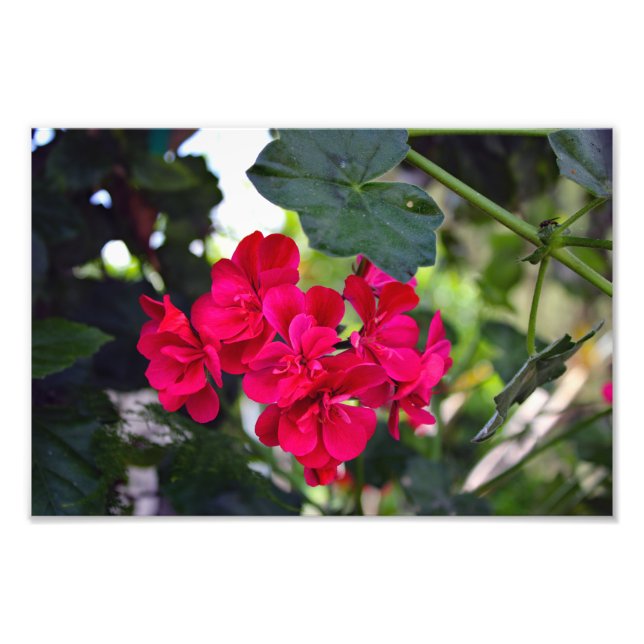 Foto Cidade Terrace (Frente)