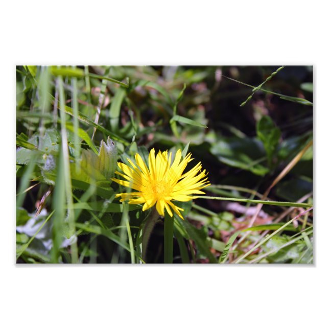 Foto Cidade Terrace (Frente)