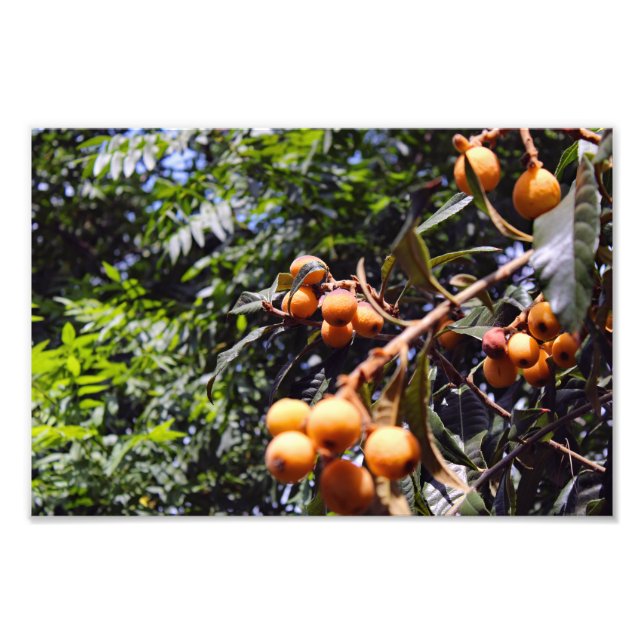 Foto Cidade Terrace (Frente)