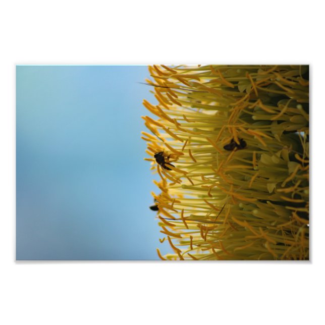 Foto Cidade Terrace (Frente)