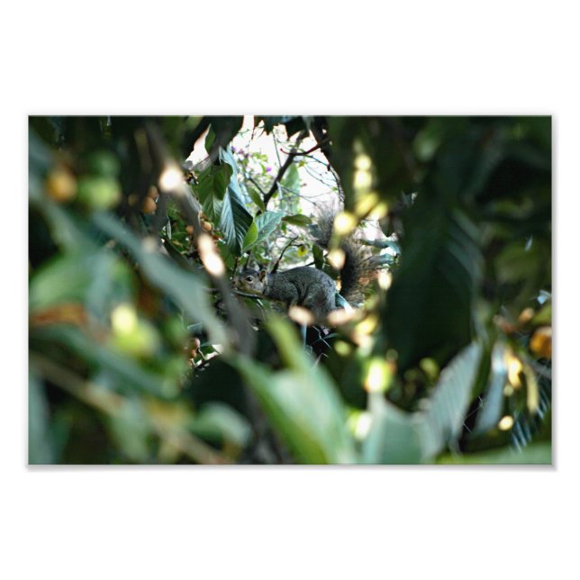 Foto Cidade Terrace (Frente)