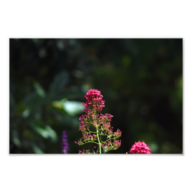 Foto Cidade Terrace (Frente)