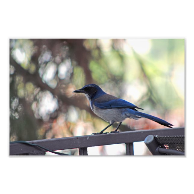 Foto Cidade Terrace (Frente)