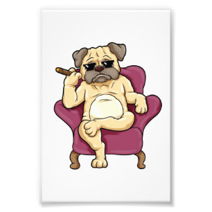 Foto Cigarro De Fumar Cachorro Pug Muito Legal