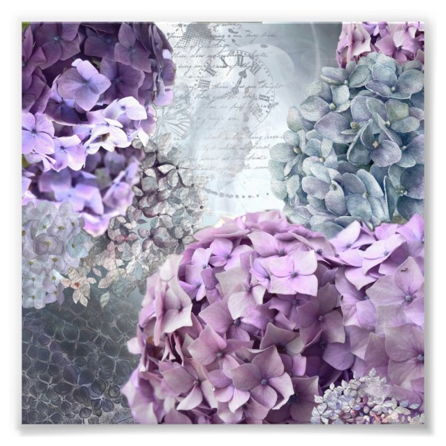 Foto Cinza azul Vintage floral Hydrangea Flor (Frente)