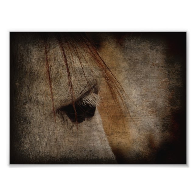 Foto Cinza Horse Face Grunge (Frente)