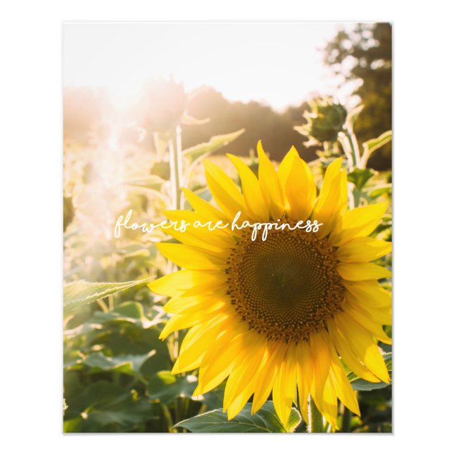 Foto Citação do girassol "flores são felicidade" (Frente)