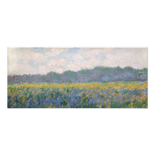 Foto Claude Monet - Campo de Íris Amarelos em Giverny