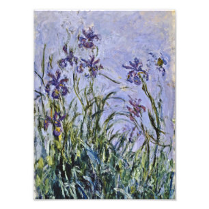 Foto Claude Monet - Iris Mauves