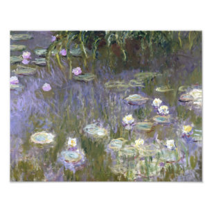 Foto Claude Monet - Lírios Hídricos