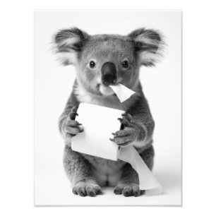 Foto Coala Adorável e Estético Segurando Papel Higiênic