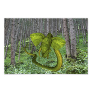 Foto Cobra de Elefante Verde