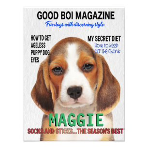 Foto Cobrir da Revista Beagle Parody