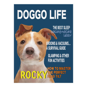 Foto Cobrir da Revista Pitbull Parody