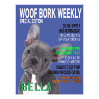 Cobrir da Revista Terrier Parody de Boston